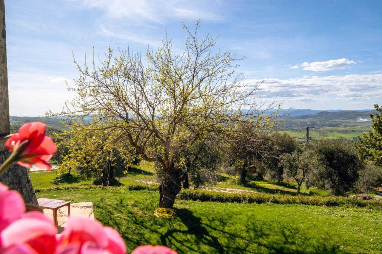 Podere Montale Il Borgo Seggiano Luaran gambar